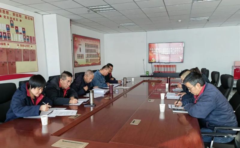 热博RB88工投公司党委召开理论学习中心组2025年第一次学习暨民主生活会会前学习研讨会