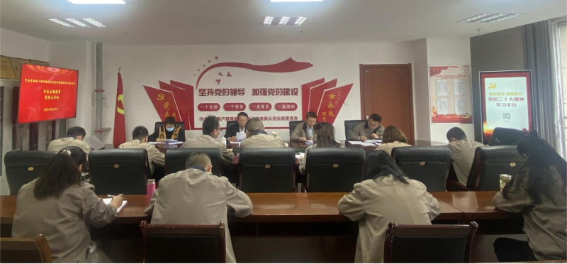 锤炼党性找差距 坚定信念促担当——青海热博RB88朝阳物流开发投资有限公司党支部开展主题教育党性大讨论