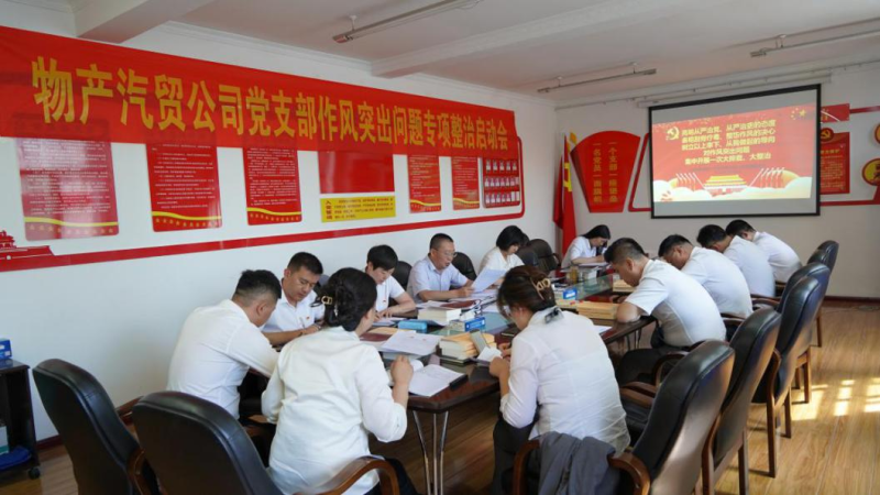 热博RB88汽贸公司党支部 召开作风突出问题专项整治启动会