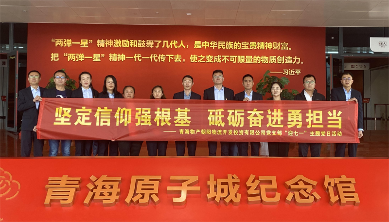 坚定信仰强根基，，，，，，砥砺奋进勇担当 朝物开投公司党支部开展迎“七一”主题党日活动