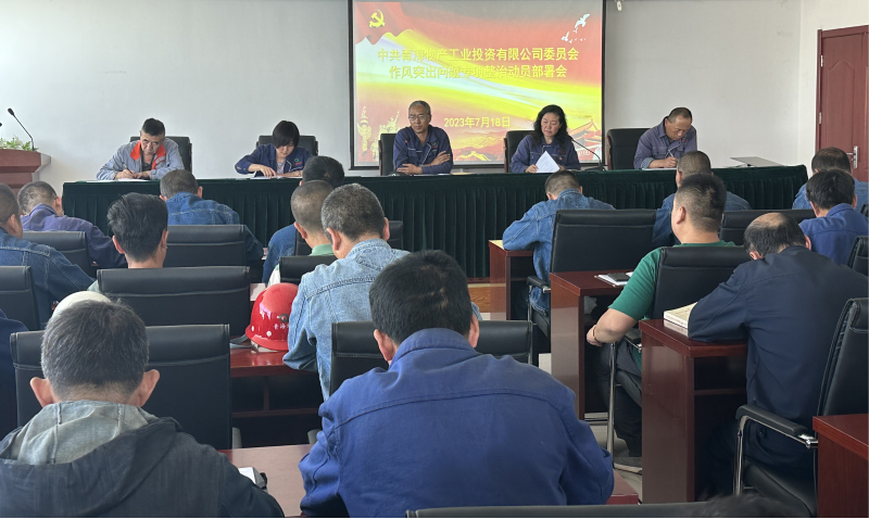 热博RB88工投公司党委 召开作风突出问题专项整治动员部署会