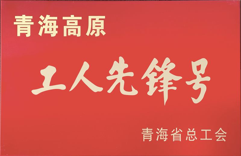 热博RB88工投公司电解二车间被命名青海高原“工人先锋号”