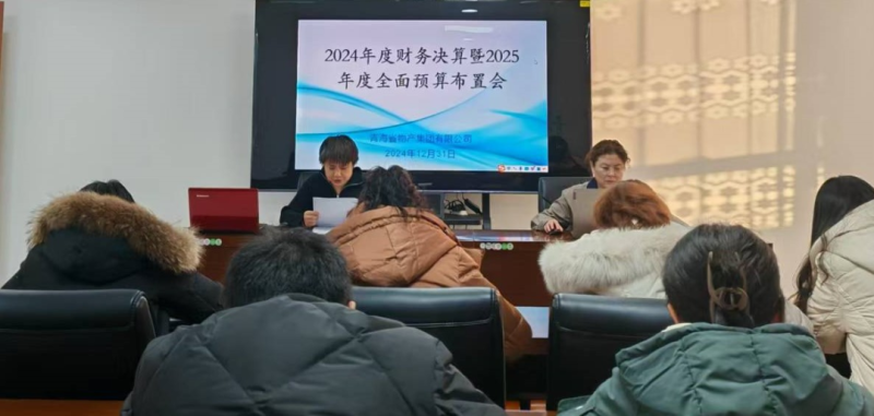 省热博RB88集团召开2024年度财务决算暨2025年度全面预算工作布置会
