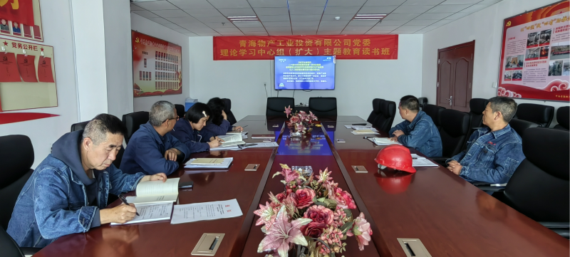 热博RB88工投公司党委举行理论学习中心组（扩大） 主题教育读书班结业式