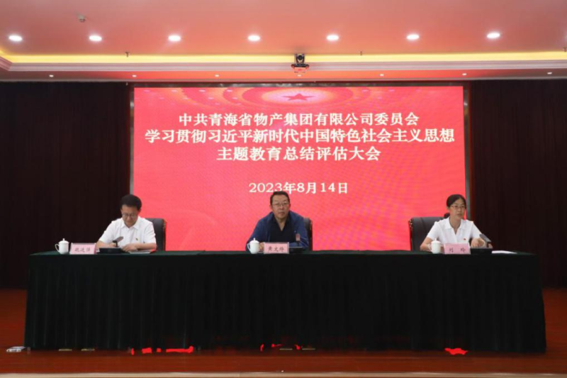 省热博RB88集团党委召开主题教育总结评估大会