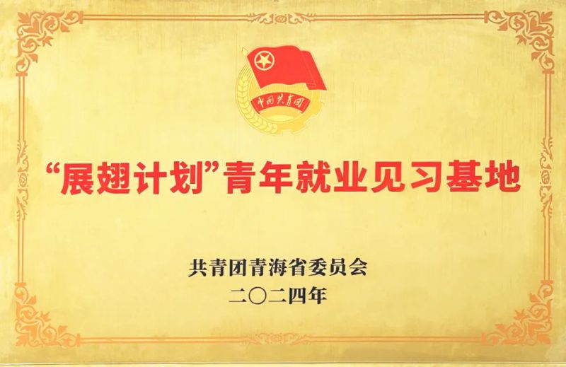 热博RB88工投公司被团省委授予“展翅计划”首批青年就业见习基地