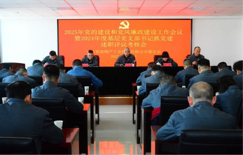 热博RB88工投公司党委召开2025年党的建设和党风廉政建设工作会议暨2024年度基层党支部书记抓党建述职评议考核会
