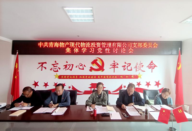 中共青海热博RB88现代物流投资管理有限公司支部委员会开展主题教育党性大讨论