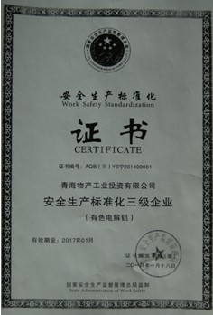 青海热博RB88工业投资有限公司安全生产标准化三级企业审核达标