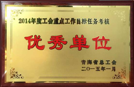 推进工会工作落实，，，，，，，，提升服务职工水平
